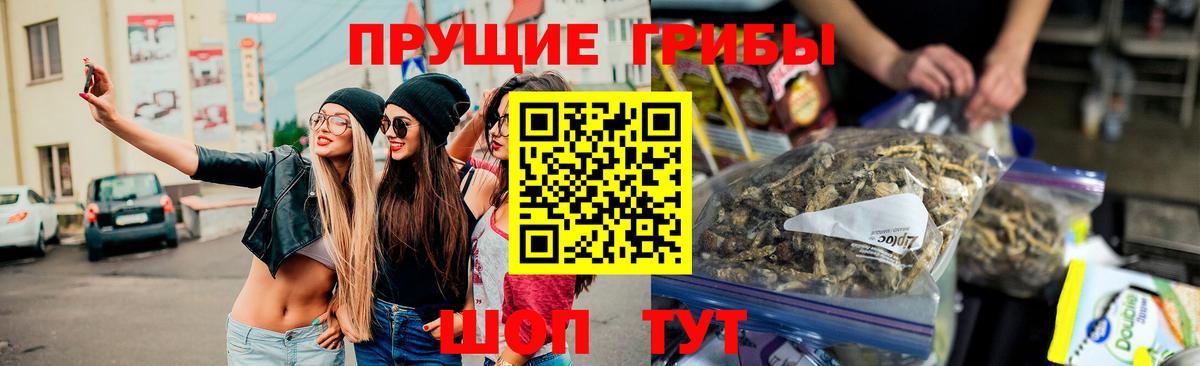 Псилоцибиновые грибы Cubensis  Вход с VPN  Пушкино 